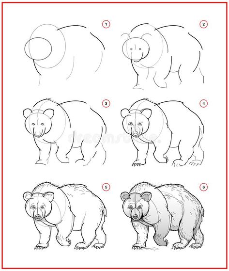 Step By Step Bear Drawing, Grizzly Bear Drawing Sketches, Draw Bear Easy, How To Draw A Bear Step By Step, Drawing A Bear, How To Draw A Bear Easy, Bear Sketch Simple, Animal Sketches Easy Step By Step, Bear Drawing Reference