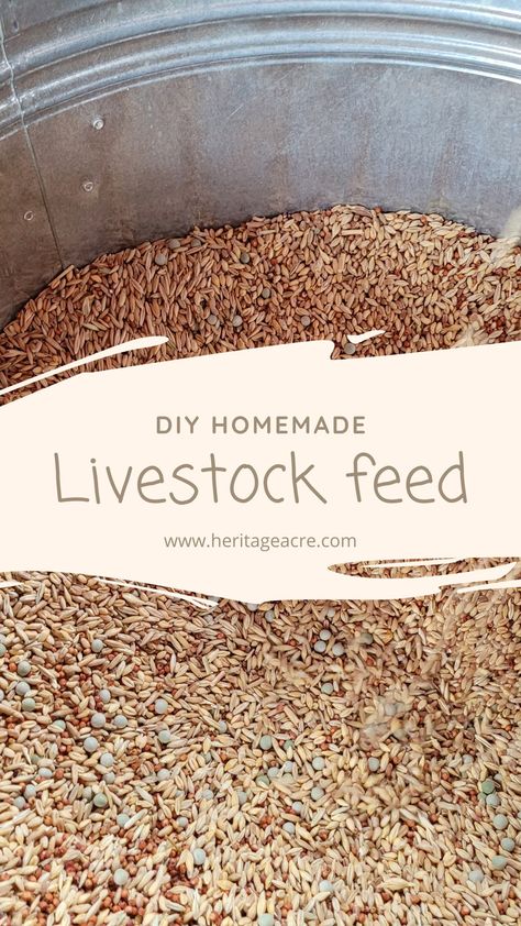 Homemade Dairy Cow Feed, Diy Pig Feed Recipe, Homemade Goat Feed, Homemade Pig Feed, Homemade Duck Feed, Farm Hacks Cattle, Cow Farm Ideas, Chicken Feed Diy, Goat Feed