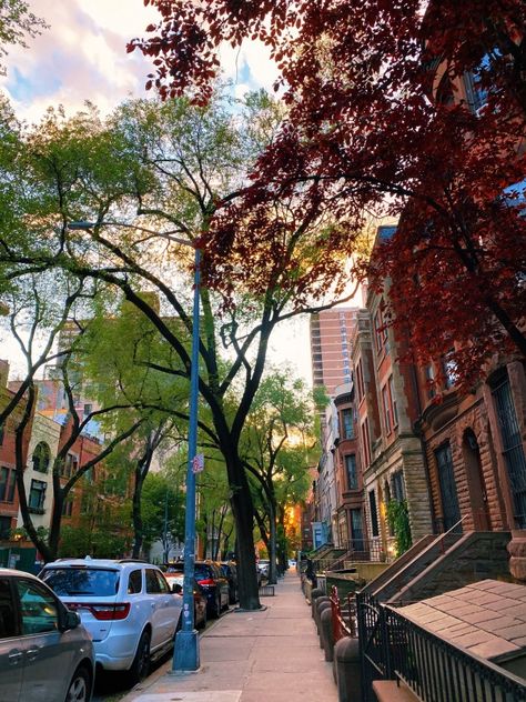 City Trees Street, New York Suburbs, City Tree, Street Trees, Autumn In New York, Work Art, I'll Wait, Aesthetic Life, San Fran