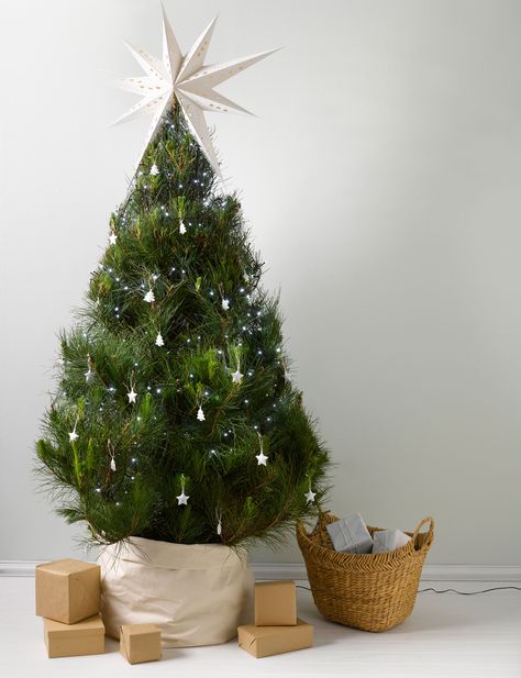 Four hacks for hiding that unsightly Christmas tree base Hide Christmas Tree Base, Christmas Tree Legs, Navidad Natural, Xmas Vibes, Christmas Tree Base, Christmas Thoughts, Fake Christmas Trees, Tree Base, Real Christmas Tree