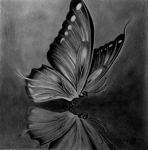 Realistic drawing Big Pencil Drawings, Butterfly Pencil Art, Butterfly Charcoal Drawing, Graphite Pencil Drawings Easy, Dark Pencil Drawings, Graphite Drawings Realistic, Butterfly Sketch Pencil, Graphite Drawings Ideas, Graphite Aesthetic