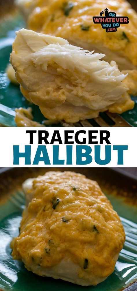 Our Traeger Halibut with Parmesan Crust was SO easy, took just 20 minutes to make, and was easily one of my favorite pieces of halibut I've had all year. Treager Halibut Recipes, Grilled Halibut Recipes, Smoked Halibut, Halibut Recipes Baked, Traeger Grill Recipes, Smoked Recipes, Outdoor Cooking Recipes, Grilled Halibut, Halibut Recipes