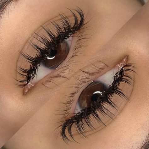 D Curl Lashes Extensions, Eyelash Extensions Wet Set, ต่อขนตา Wet Look, Spikey Lash Extensions, Eyelash Extensions Wet Look, Wet Wispy Lash Extensions, Light Wispy Eyelash Extensions, Wispy Wet Lash Extensions, Wispy Wet Set