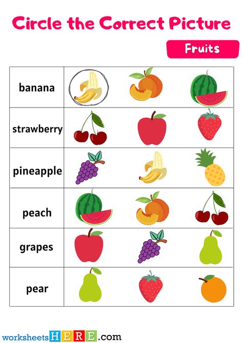 Finding Correct Fruit For Kindergarten, Circle Correct Fruit Activity Worksheets for Kids - WorksheetsHere.com Fruit Worksheets For Kindergarten, Fruit Activity, Activity Worksheets For Kids, Food For Breakfast, Tomato Tomato, Watching Movies, Kindergarten Worksheets, Worksheets For Kids, Wheat Flour