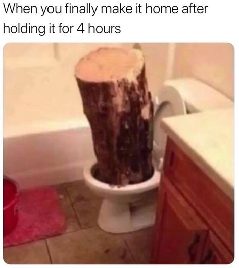 Poop In Toilet, Pooping Humor, Iphone Png, Poop Jokes, Sarcastic Jokes, Jokes And Riddles, Funny Images Laughter, Funny Jokes For Adults, Memes Sarcastic