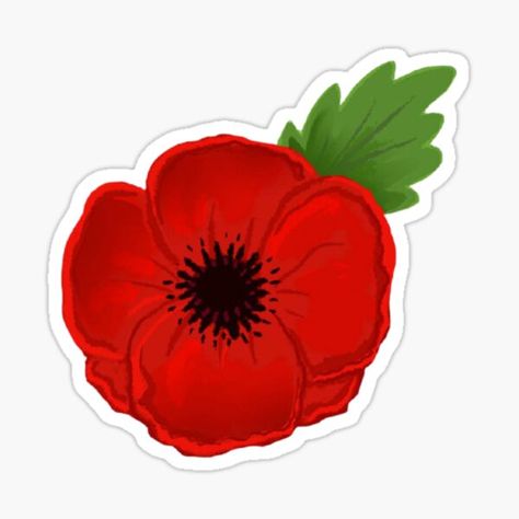 Remembrance Day Art Ideas, Poppy Remembrance Day, Remembrance Day Pictures, Poppy Flower Drawing, Remembrance Day Activities, Poppy Flower Painting, Remembrance Day Art, Remembrance Day Poppy, Remembrance Poppy