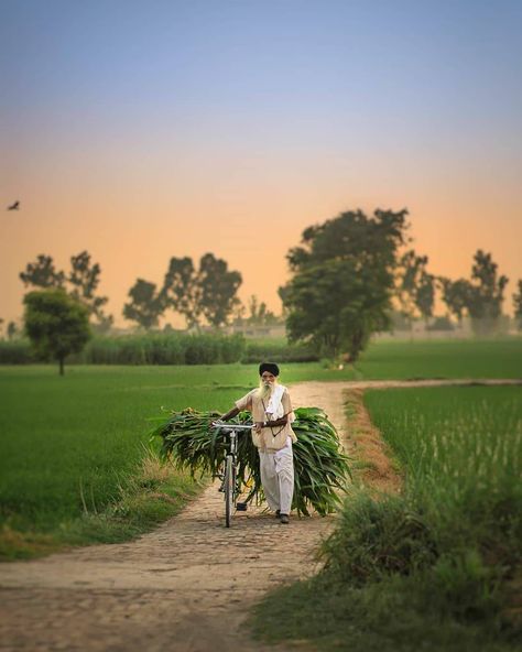 Agriculture Pictures, Punjab Culture, Agriculture Photography, Punjabi Culture, Friendship Photography, Village Photos, Farm Photography, Village Photography, Beautiful Streets