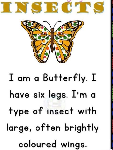 Insects worksheet .few lines on Butterfly. Easy reading worksheet . reading activity . Grasshopper Activities, Butterfly Worksheet, Reading Comprehension For Kids, Fun Worksheets For Kids, English Activities For Kids, Insects Theme, Picture Composition, Reading Activity, Kids Poems