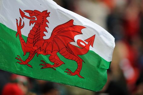 The Welsh flag is named the coolest in the world - Wales Online Welsh National Anthem, Flag Aesthetic, Welsh Words, Wales Flag, Welsh Flag, Welsh Language, Maori People, Flags With Names, North Wales