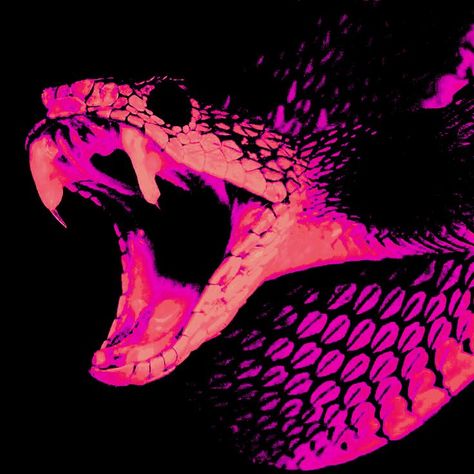 Snake Venom Aesthetic, Purple Snake Aesthetic, Snake Pfp, Snakes Aesthetic, Snake Icon, Snake Aesthetic, Snake Wallpaper, Psy Art, Pink Snake