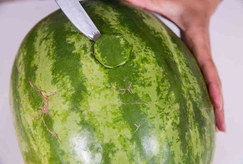 Drunk Watermelon, Watermelon Liquor, Drunken Watermelon, Low Cal Cocktails, Boozy Watermelon, Liquor Ideas, Boozy Fruit, Spiked Watermelon, Party Deco Ideas