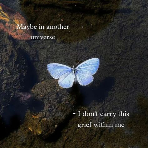 Maybe in another universe… (Remember, you can always create the reality you want in THIS universe) Butterfly With Quote, Maybe In Another Universe, Quotes Dream, In Another Universe, Maybe In Another Life, Another Universe, Heavy Heart, Life Quotes Love, When Was The Last Time