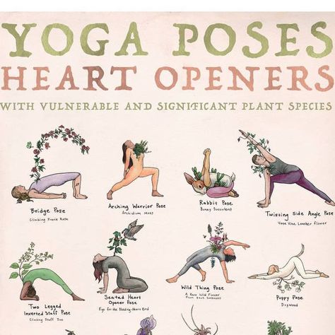 Nicole DeBarber on Instagram: "♡ New Poster ♡ Heart Openers ♡ With vulnerable and relevant plant species growing out of each 🌱 Link in bio. At 18" by 24" this is my largest yoga poster yet. Soon all designs will be available in this new larger format. #yoga #yogaposes #yogaart #yogadesign #heartopeners" Heart Openers Yoga, Desk Yoga Poses, Yoga Poses Poster, Heart Openers, Desk Yoga, Morning Yoga Poses, Butterfly Pose, Morning Yoga Routine, Warrior Pose