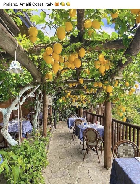 Portofino Italy Aesthetic, Dolomites Lake, Tuscany Italy Aesthetic, Lake Como Aesthetic, Almafi Coast Italy, Italy Garden, Praiano Italy, Varenna Italy, Italian Farm