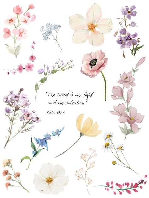 "The Lord is my light and my salvation"  Psalm 27: 1 The Lord Is My Light And My Salvation, Your In My Prayers, Prayer Board Inspiration, Jesus Flowers, Bible Verse Psalms, Psalm 27 1, The Lord Is My Light, Gods Plan Quotes, Cute Bible Verses