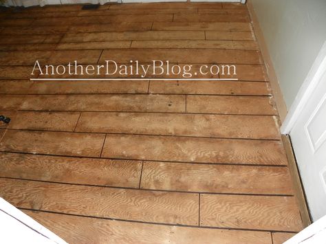 Another Daily Blog: DIY How to Make Plywood Subfloor Look Like Wide Plank Hardwood Flooring Plywood Plank Flooring, Cheap Wood Flooring, Cheap Hardwood Floors, Paint Floor, Wood Floor Stain Colors, Bamboo Wood Flooring, Plywood Subfloor, Flooring Diy, Refinish Wood Floors