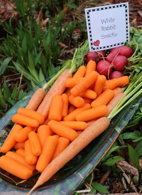 White Rabbit Snacks Alice In Wonderland Snack Ideas, Alice In Wonderland Food Ideas Snacks, Alice In Wonderland Snacks, Rabbit Snacks, Alice In Wonderland Tea Party Food, Alice In Wonderland Games, Alice In Wonderland Food, Wonderland Party Theme, 1st Birthday Party Games