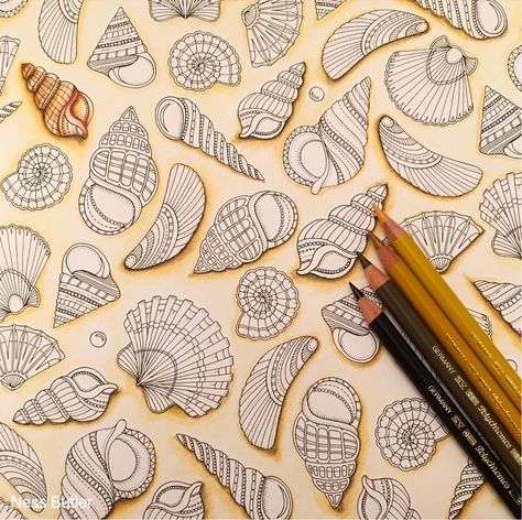 76 best Lost Ocean Coloring Book Completed Pages Inspiration ... Coloring Book Background Ideas, Lost Ocean Johanna Basford, Johanna Basford Lost Ocean, Lost Ocean Coloring Book, Joanna Basford Coloring, Enchanted Forest Coloring, Beautiful Shells, Joanna Basford, Gardens Coloring Book