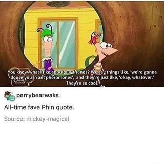 Phineas And Ferb Memes, Phineas E Ferb, Phineas Y Ferb, Dc Memes, Phineas And Ferb, Disney Memes, Oui Oui, Disney Funny, Disney And Dreamworks