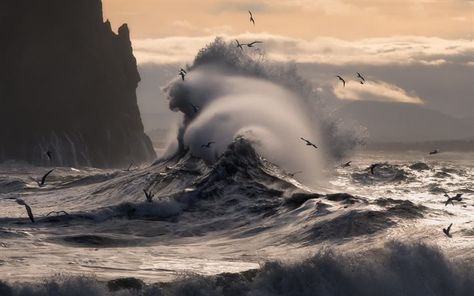 sunrise, big wave, storm, coast, sea, waves, seagulls Goddess Of The Sea, Alam Yang Indah, In The Ocean, Sea And Ocean, Ocean Life, Ocean Beach, Ocean Waves, Amazing Nature, Beautiful World