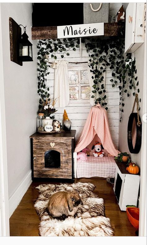 Indoor Bunny House, Bunny Bedroom, Diy Bunny Cage, Diy Rabbit Cage, Bunny Litter Box, Indoor Rabbit Cage, Bunny Supplies, Bedroom Ideas For Teenage Girl Rooms, Bunny Room