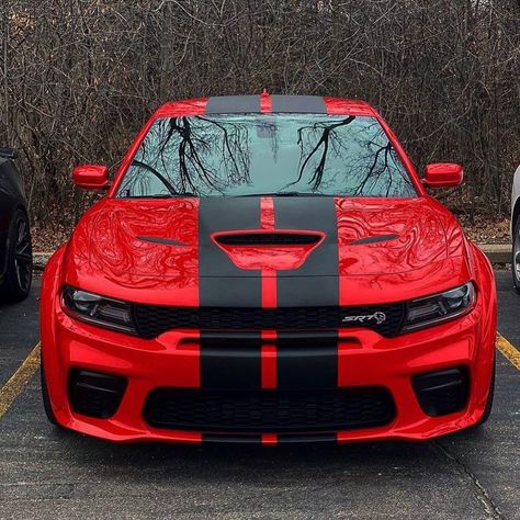 Moody Mopars on Instagram: “Wow! 🤩 @707_creampie  Follow us @moodymopars . . . . . #Hellcat#hemi#srt#scatpack#dodge#mopar…” Air Jordan 1 Court Purple, Dodge Charger Hellcat, Luxury Cars Audi, Charger Srt Hellcat, Car Man Cave, Dodge Challenger Srt Hellcat, Dodge Charger Srt, Charger Srt, Dodge Vehicles