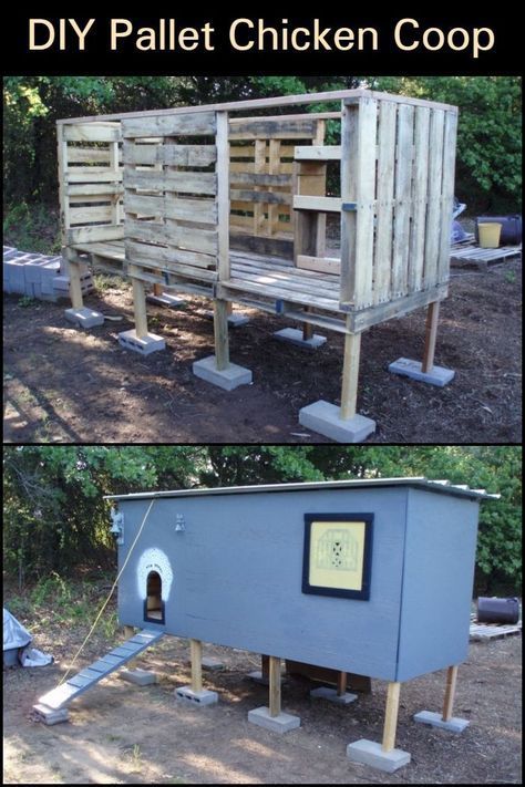 Building a Chicken Coop Doesn't Have to be Expensive! This One is Made From Repurposed Pallets Diy Pallet Chicken Coop, Pallet Chicken Coop, Repurposed Pallets, Chicken Coop Blueprints, Cheap Chicken Coops, Chicken Coop Pallets, Easy Chicken Coop, Portable Chicken Coop, Backyard Chicken Coop Plans