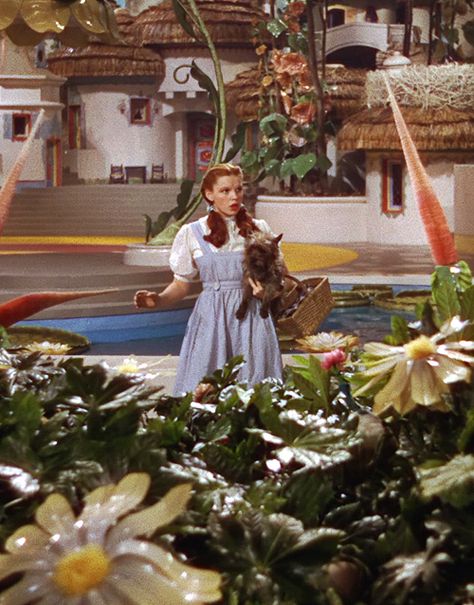 Oz Aesthetic, Not In Kansas Anymore, Oz Series, Wizard Of Oz Movie, Dorothy Wizard Of Oz, Wizard Of Oz 1939, Dorothy Gale, The Wonderful Wizard Of Oz, Land Of Oz