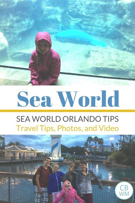 Sea World, Orlando travel tips for families. Get travel tips for going to Sea World, Orlando. Read about the rides, the shows, the exhibits, and where to stay. Video included! #seaworld #seaworldorlando #familytravel Seaworld (orlando), Sea World Orlando, Great Vacation Spots, Flying With Kids, Orlando Parks, Seaworld Orlando, Orlando Travel, Road Trip With Kids, Family Night