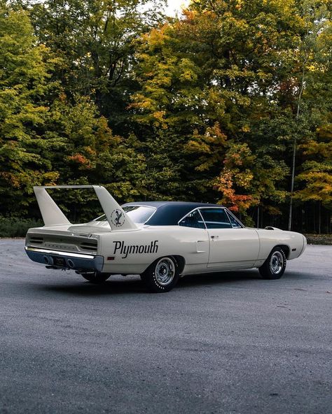 1970 Plymouth Superbird - Legendary Motorcar Company Plymouth Superbird Wallpaper, 1970 Plymouth Superbird, Plymouth Superbird, Plymouth Cars, Plymouth Belvedere, Plymouth Cuda, Dodge Muscle Cars, Plymouth Roadrunner, Dream Garage