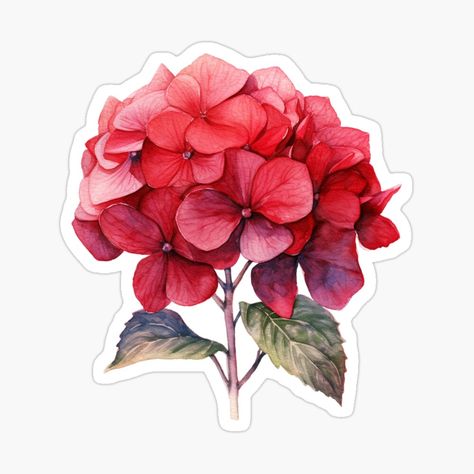 Get my art printed on awesome products. Support me at Redbubble #RBandME: https://www.redbubble.com/i/sticker/Beautifull-Red-Hydrangea-Summer-Flower-by-My-Magic-World/149752406.EJUG5?asc=u Printable Stickers Flowers, Stickers Flowers Aesthetic, Flower Stickers, Aesthetic Flower Stickers Printable, Red Stickers, Scrapbook Flower Stickers Printable, Red Flower Sticker, Vintage Stickers, Red Hydrangea