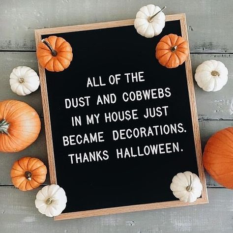 All of the dust and cobwebs in my house just became decorations. Thanks Halloween! If you havent cleaned your house since the pandemic started its fine! You were just preparing for Halloween May your Tuesday be as fabulous as BOO! Image found on Pinterest! #letterboardquotes Letterboard Signs, Message Board Quotes, Halloween Memes, Halloween Letters, Felt Letter Board, Diy Halloween Decor, Felt Letters, Autumn Quotes, Felt Board