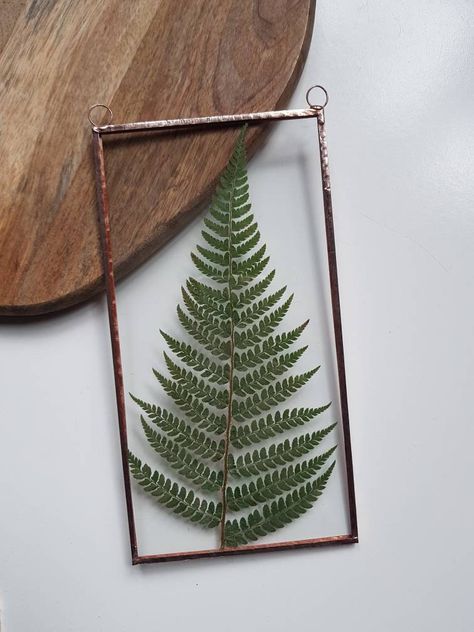 Pressed Fern, Glass Wall Hanging, Everlasting Flowers, Copper Frame, Diy House, Natural Home Decor, Botanical Wall Art, Sell Out, Bedroom Inspo