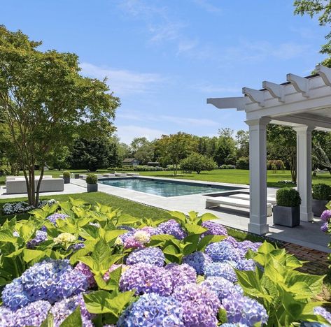 Hydrangeas By Pool, Hydrangea Pool Landscaping, Hampton Backyard, Hamptons Backyard, French Pool, Cape Cod Style House, Pool Fashion, Luxury Swimming Pools, Hamptons House