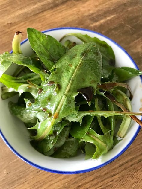 Dandelion Salad Recipes, Dandelion Salads, Dandelion Salad, Kong Recipes, Honey Balsamic Vinaigrette, Hot Bacon Dressing, Life In Canada, Bacon Dressing, Balsamic Vinaigrette Dressing