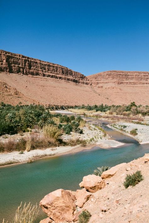 Desert Oasis Aesthetic, Morroco Desert, Oasis In Desert, Oasis Aesthetic, Morocco Honeymoon, Morocco Travel Destinations, Morocco Photography, Visit Morocco, Africa Destinations