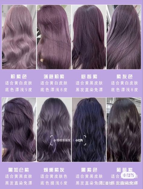 Dull Hair Color, Tinted Dark Hair, Korean Hair Color Purple, Ashy Hair Color Ideas, Purple Ash Hair Color, Purple Hair Korean, Purple Hair Shades, Ashy Purple Hair, Ash Purple Hair