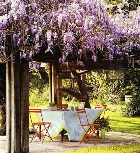 This is how I want my backyard canopy to look. Wisteria is so beautiful! Wisteria Arbor, Covered Pergola, Have Inspiration, Outdoor Oasis, Diy Patio, Spring Garden, Dream Garden, Design Portfolio, Wisteria