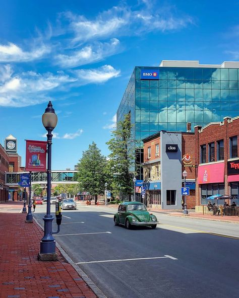 Alex N on Instagram: “Downtown Moncton, New Brunswick . . . . . #downtown #downtownmoncton #monctonnb #moncton #monctonphotographer #monctonnewbrunswick…” New Brunswick Canada, Young Professional, New Brunswick, The Hub, Future Life, Times Square, Street View, Photographer, Travel