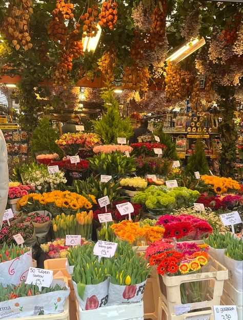 pretty amsterdam flowers that are very bright used in a farmers market with notes saying prices and names Flower Market Aesthetic, Amsterdam Market, Art Heist, Amsterdam Flower Market, Flowers Market, Amsterdam Photography, London Trip, I Amsterdam, Amsterdam City