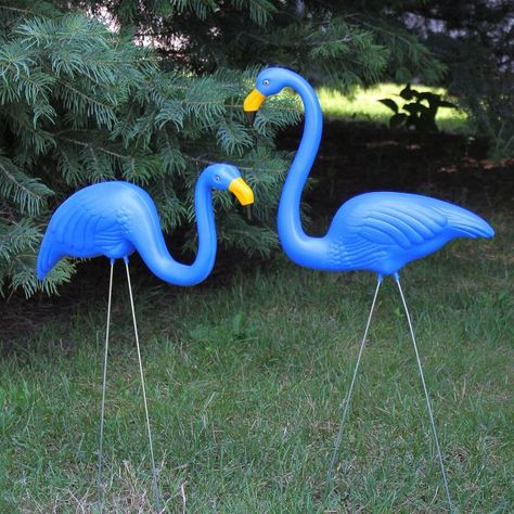 Classic Decoration, Flamingo Garden, Landscape Blue, American Landscape, Tropical Flamingo, Front Lawn, Garden Lawn, Garden Accents, Outdoor Lawn