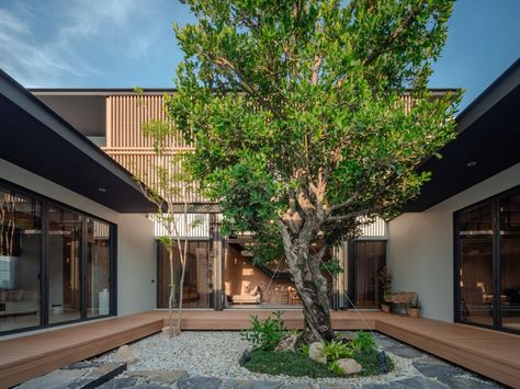 Thailand House Design Modern, Internal Courtyard House, Zen Courtyard, Zen Architecture, Courtyard Modern, Modern Zen House, Courtyard Villa, Platform Bed Designs, Courtyard Pool