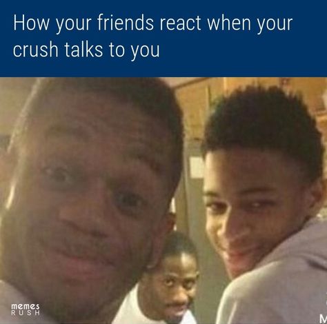 Funny Crush, Memes Crush, Funny Crush Memes, Crush Humor, Crush Memes, Reaction Memes, Mom Memes, Friend Memes, Memes Sarcastic