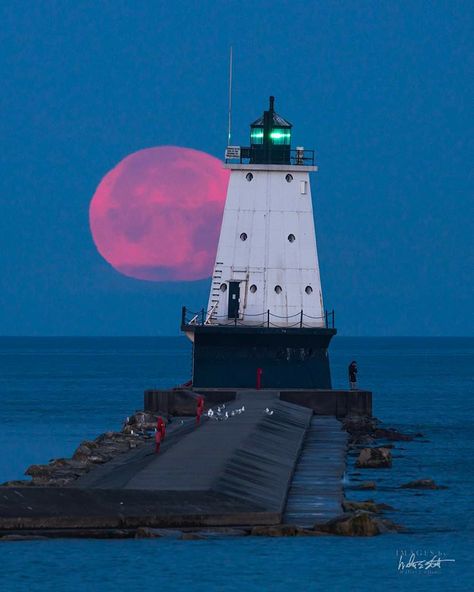 Michigan Tattoos, Ludington Michigan, Lake Michigan, Great Lakes, Travel Aesthetic, Camping Trips, Full Moon, Photo Credit, Lighthouse