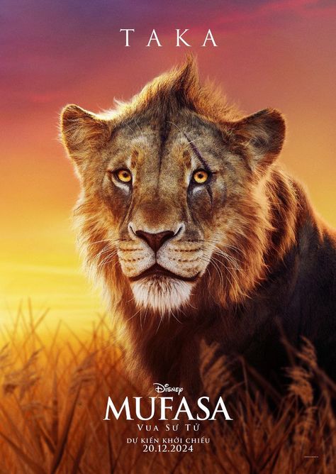 Scar And Mufasa, Watch The Lion King, Lion King Poster, Scar Lion King, Lion King 3, Geek Movies, Lion King Movie, Il Re Leone, Simba And Nala