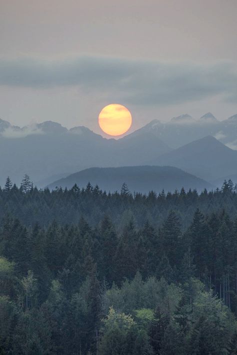 Poulsbo Washington, Pnw Aesthetic, Pacific Northwest Art, Olympic Mountains, Nikon D7100, Evergreen State, Sun Setting, Gorgeous Sunset, The Olympics