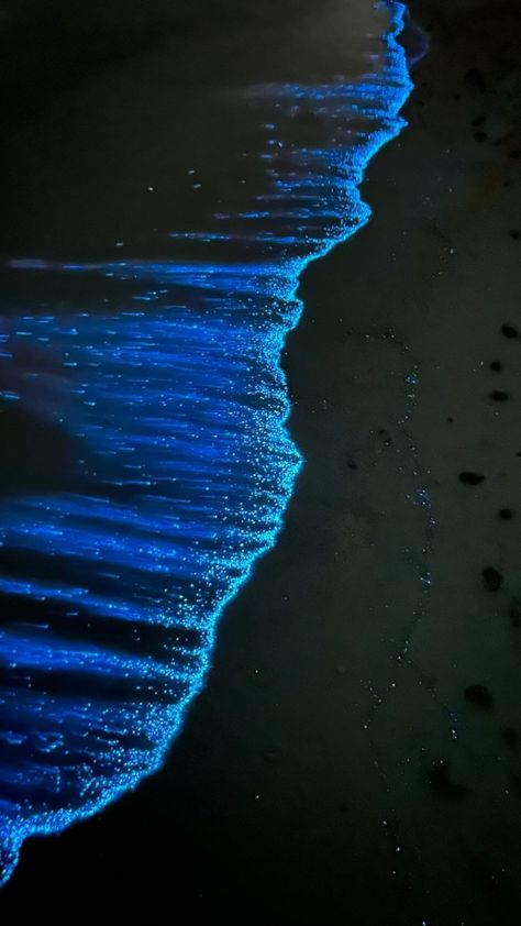 Sema Core, Bioluminescence Beach Aesthetic, Sea Of Stars Wallpaper, Sea Of Stars Aesthetic, Sea Core Wallpaper, Sea Bioluminescence, Sea Of Stars Maldives, Glowing Plankton, Ocean Of Stars