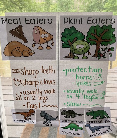 Dinosaur Class Activities, Dinosaur Theme Lesson Plan, Carnivore Dinosaur Activities, Dino Lessons Preschool, Carnivore And Herbivore Activities, Noodle Dinosaur Craft, Meat Eater Vs Plant Eater Dinosaurs, Preschool Paleontologist Activities, Preschool Dinosaur Science