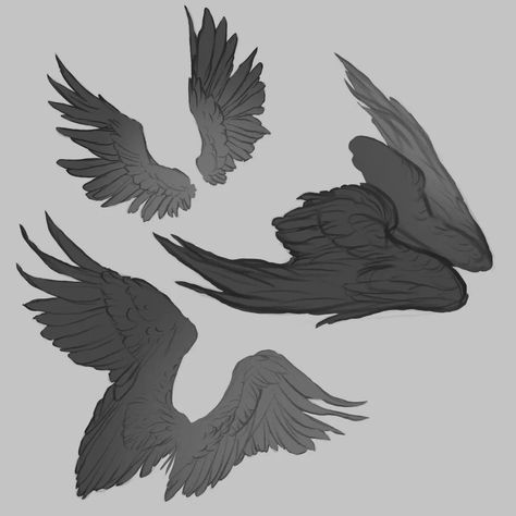 I'm dedicating some time to practicing drawing wings to enhance their dynamic movement and adapt them to various types of plumage. . . . . . . #sketch #wings #digitalart Feather Wings Drawing Reference, Back Wings Reference, Different Wings Drawing, Different Wing Types, Human With Wings Drawing Reference, Bird Wings Reference Drawing, Wings Drawing Back View, Wing Types Drawing, Vulture Wings Drawing