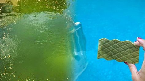 Clean Green Pool, Dyi Pool, Magic Eraser Uses, Pool Organization, Pool Cleaning Tips, Green Pool, Pool Hacks, Vinyl Pool, Pool Life